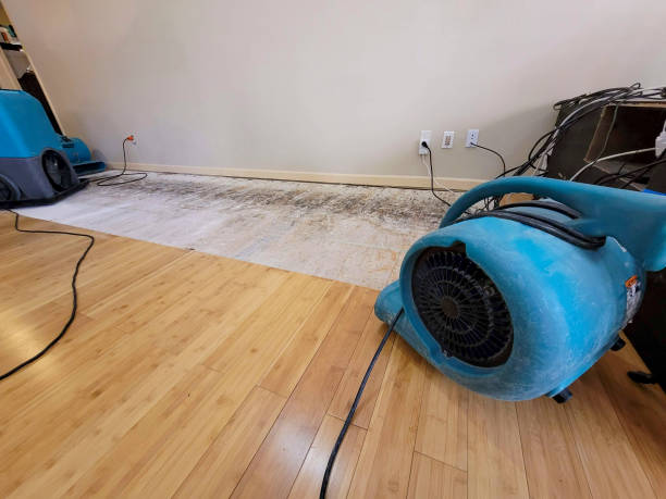 Professional Basement Flood Cleanup technician working in D'Iberville, MS